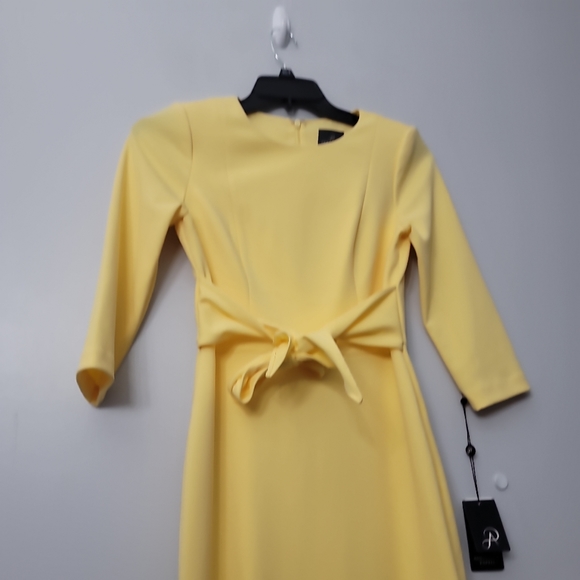 Adrianna Papell Knit Crepe Tie Waist Sheath Dress - Picture 4 of 12